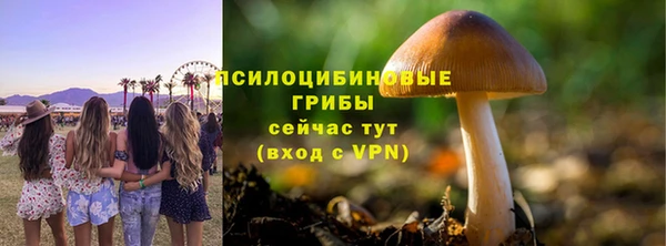 mix Алексин