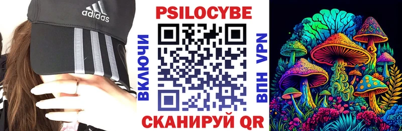где купить наркотик Бирюч Псилоцибиновые грибы прущие грибы